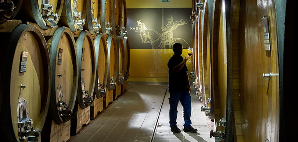 Boraso eXperience “Digitali DiVini” – Verona