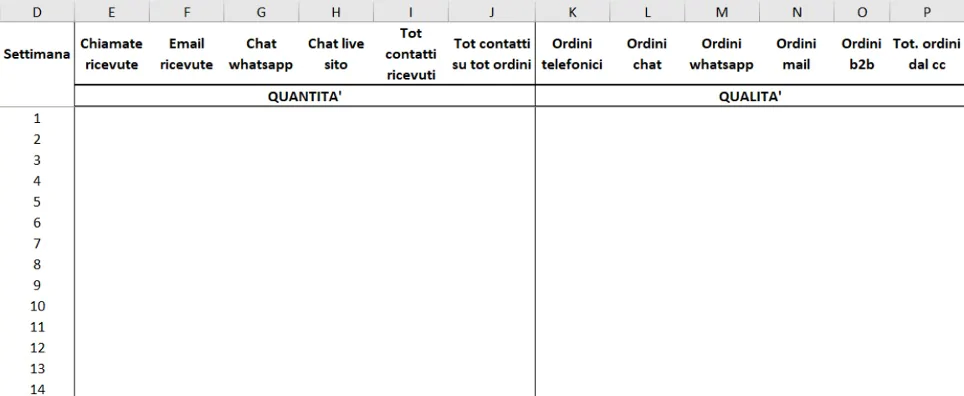 format-report-attivita