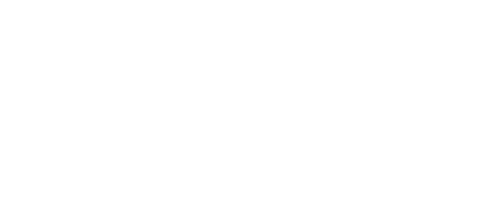 logo-pimcore-1-white